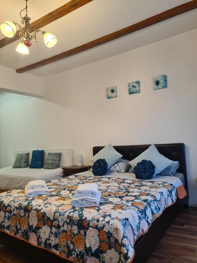 Apartment Luca's House Balotesti